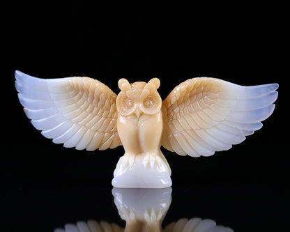 Amazing 9.3" Blue Chalcedony Hand Carved Crystal Owl Sculpture