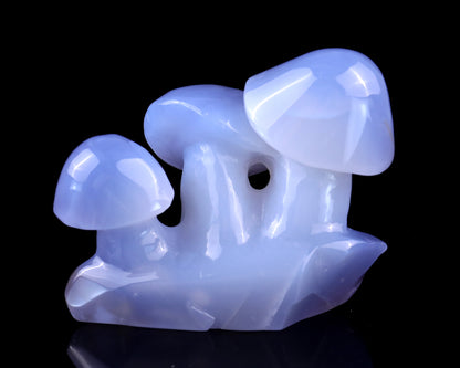 4.2" Blue Chalcedony Hand Carved Crystal Mushrooms Sculpture
