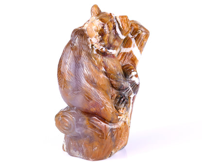 6.7" Chalcedony Hand Carved Crystal Bear Sculpture