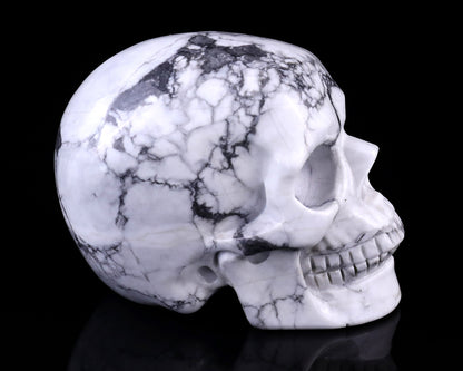 3.0" Howlite Hand Carved Crystal Realistic Skull Sculpture