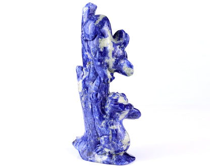 4.3" Sodalite Hand Carved Crystal Koalas Sculpture