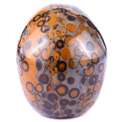 3.0" Leopard Skin Jasper Hand Carved Crystal Realistic Skull Sculpture