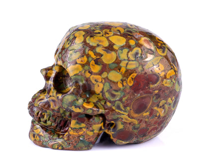 3.0" Roe Stone Hand Carved Crystal Realistic Skull Sculpture