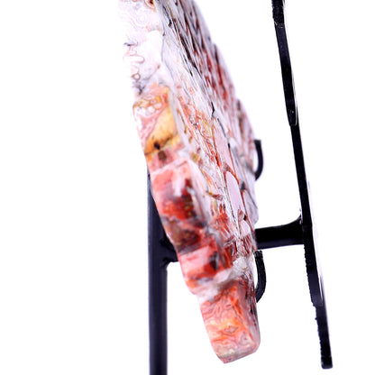 3.3" Red Crazy Lace Agate Hand Carved Crystal Peacock Tail Wings Sculpture