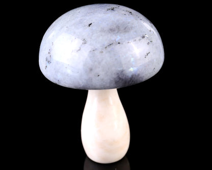 80mm Labradorite Hand Carved Crystal Mushroom Sculpture