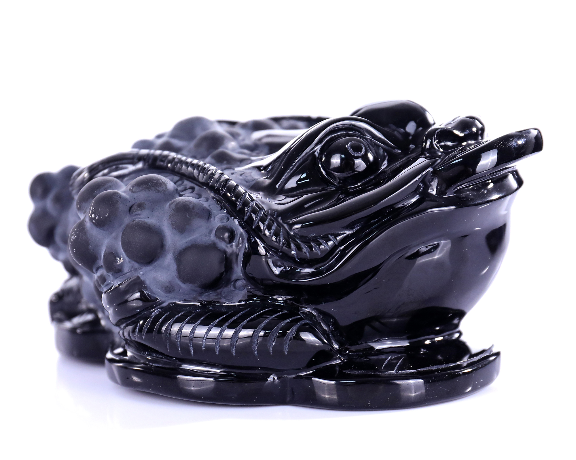 7 Inch Natural Obsidian Coin Dragon Turtle Statue - Feng Shui Lucky Charm for Wealth & Home Protection