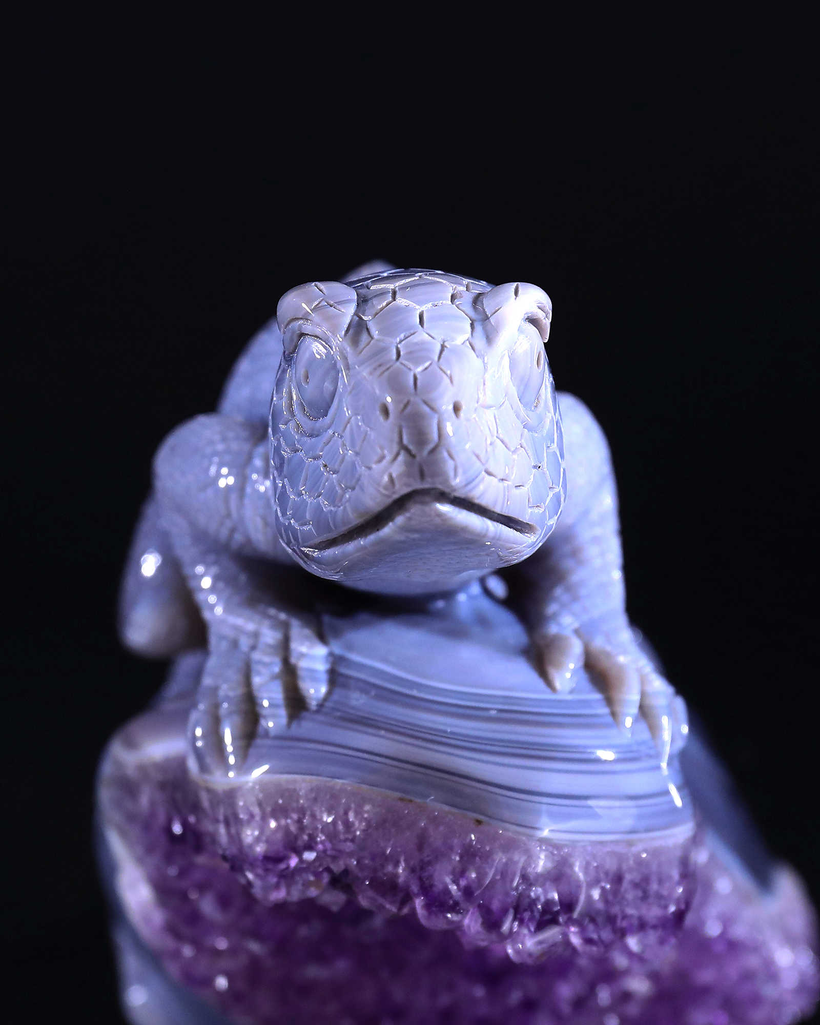 7.9" Amethyst Druse Agate Skull & Lizard Sculpture, Natural Crystal Gemstone Artifact for Luxury Decor