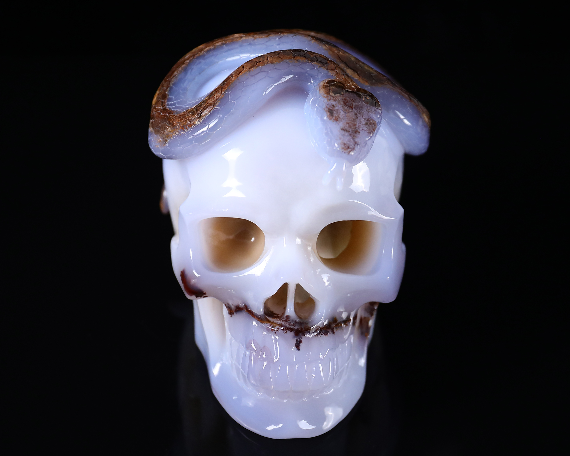 7.8 Inch Hand-Carved Blue Chalcedony Skull with Snake - Rare Natural Geode & Unique Patterns - Exquisite Artisan Decor