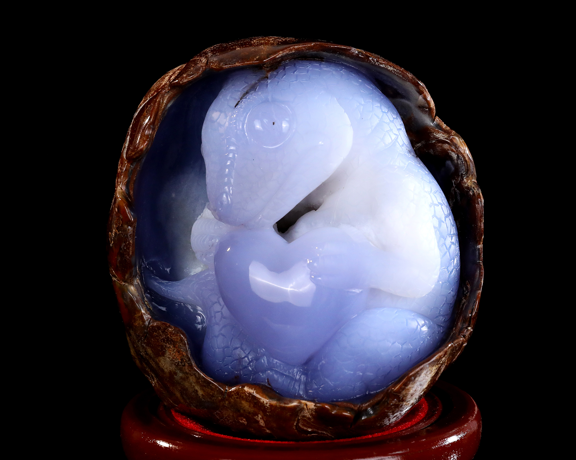 5.8" Natural Polished Blue Chalcedony Dinosaur - Geode Carved Gemstone Decoration