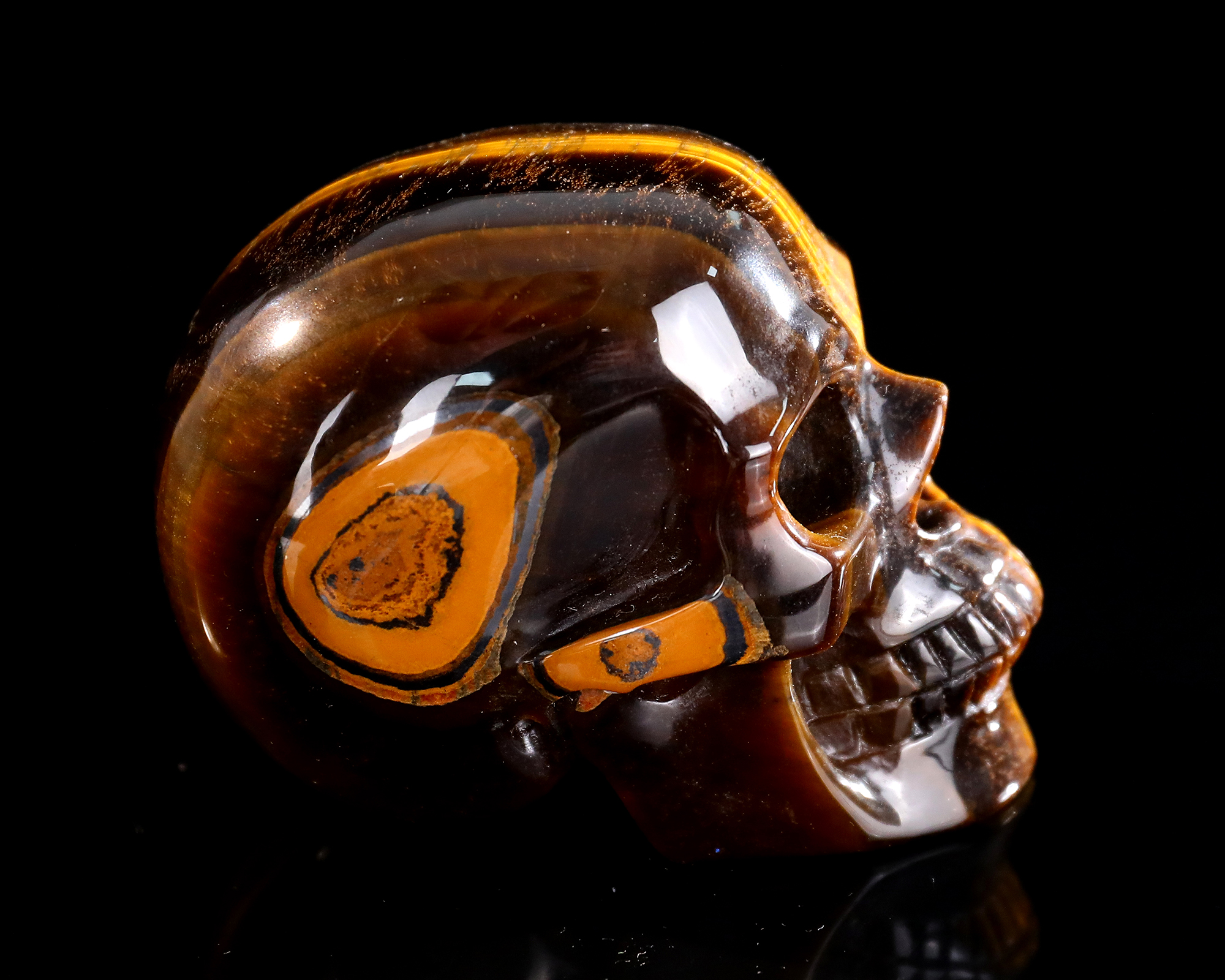 Lustrous Chatoyant Tiger's Eye Skull - Natural Artisan Hand-Carved Crystal Sculpture