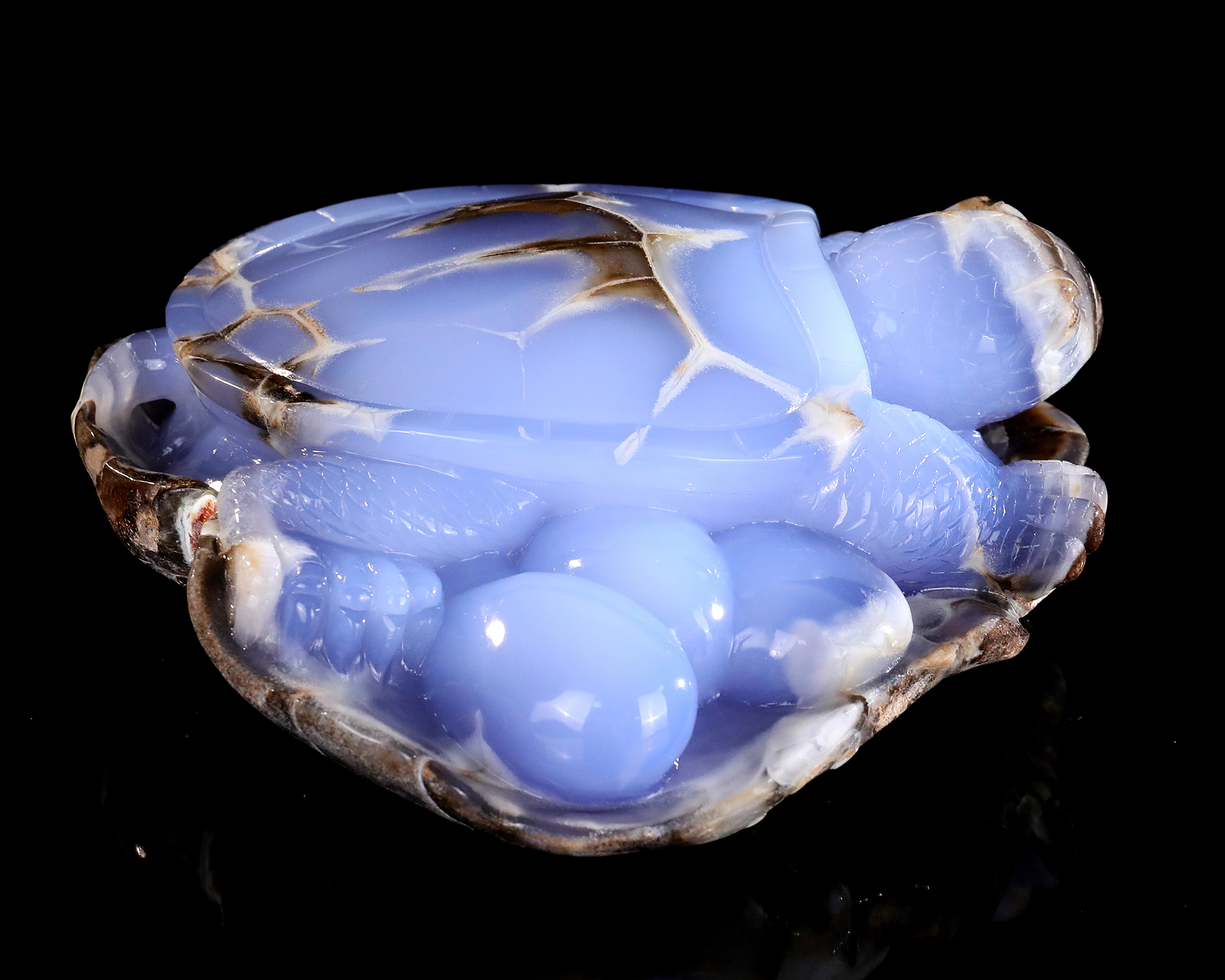 Blue Chalcedony Tortoise Artisan Stone Piece Curated for Display