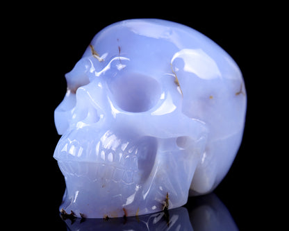 7.9" Blue Chalcedony Hand Carved Crystal Huge Realistic Skull Sculpture