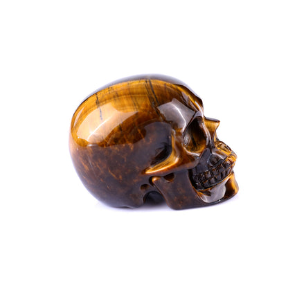 2.2" Gold Tiger Eye Hand Carved Crystal Realistic Skull Sculpture