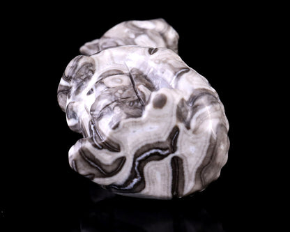 3.4" Black Crazy Agate Hand Carved Crystal Cute Baby Dragon Sculpture