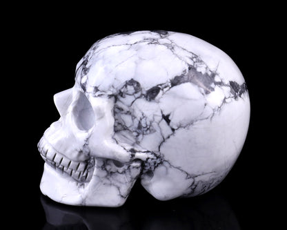 3.0" Howlite Hand Carved Crystal Realistic Skull Sculpture