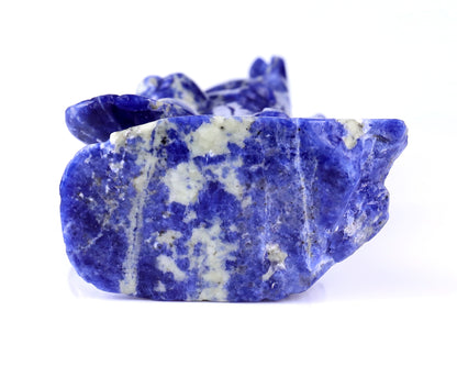 4.3" Sodalite Hand Carved Crystal Koalas Sculpture