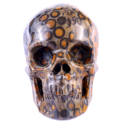 3.0" Leopard Skin Jasper Hand Carved Crystal Realistic Skull Sculpture