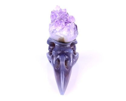2.5" Amethyst Druse Agate Hand Carved Crystal Raven Skull Sculpture