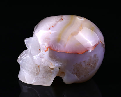 3.0" Agate Hand Carved Crystal Realistic Skull Sculpture