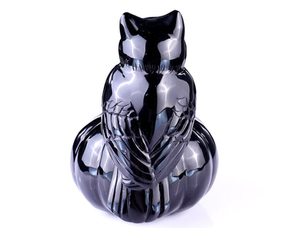 6.4” Natural Black Obsidian Hand Carved Crystal Pumpkin and Owl Sculpture, Halloween Gift