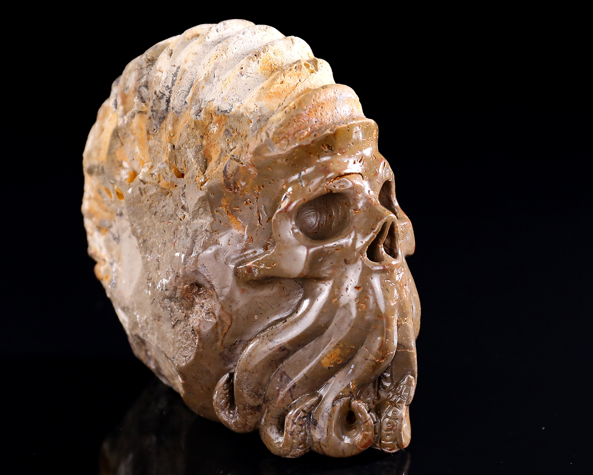 4.8" Ammonite Fossil Octopus Skull, Handcarved Jade Artifact - Unique Sculpture for Collection