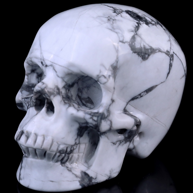 3.0" Howlite Hand Carved Crystal Realistic Skull Sculpture