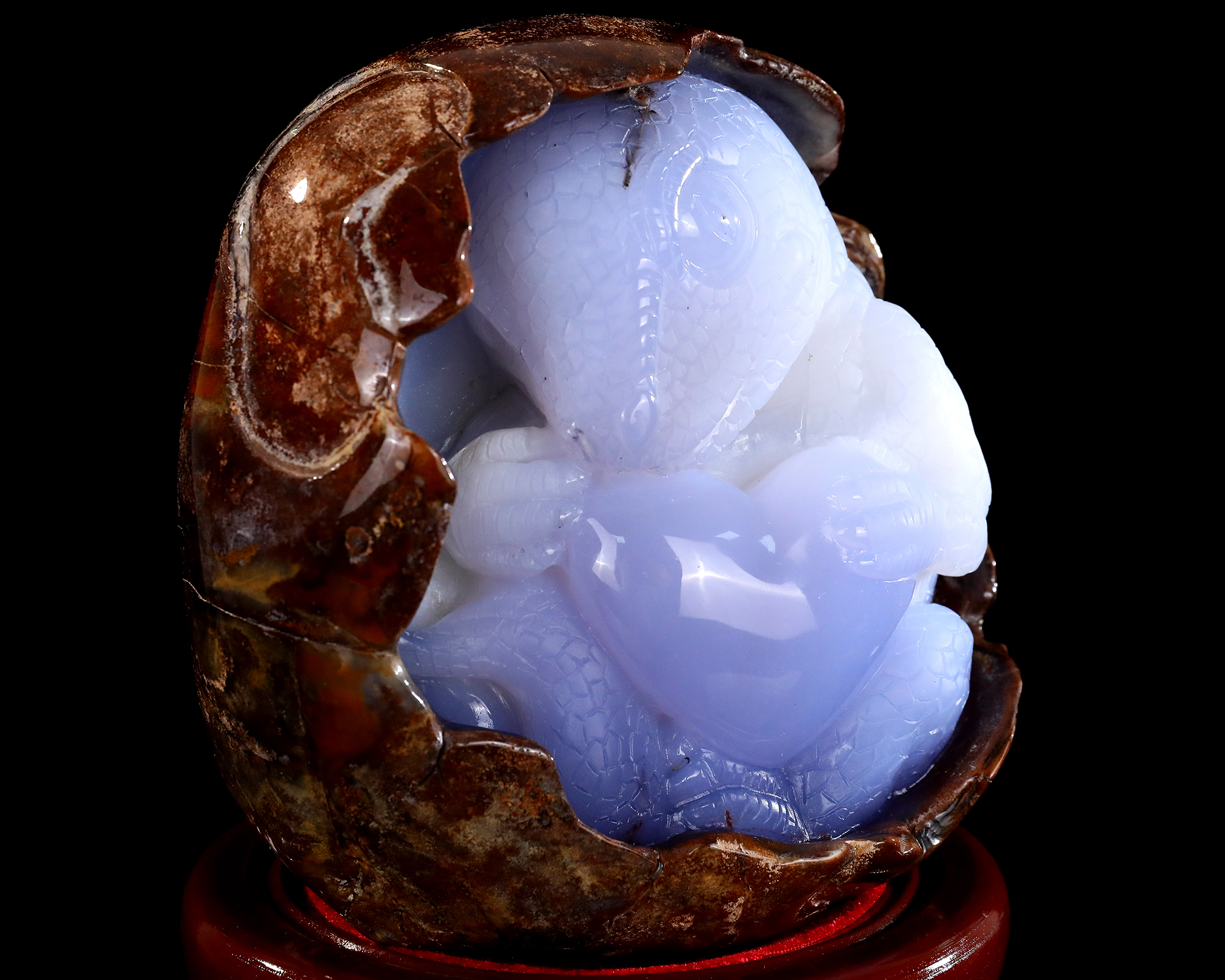 5.8" Natural Polished Blue Chalcedony Dinosaur - Geode Carved Gemstone Decoration