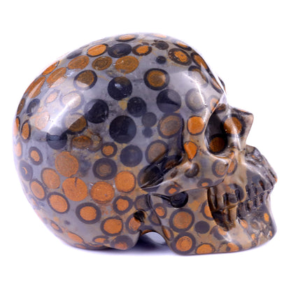 3.0" Leopard Skin Jasper Hand Carved Crystal Realistic Skull Sculpture