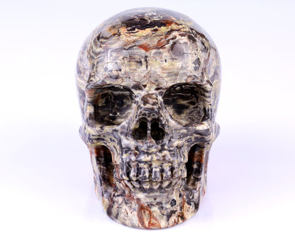 4.4" Coin Agate Hand Carved Crystal Realistic Skull Sculpture
