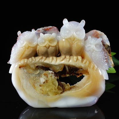 Amazing 8.5” Chalcedony Hand carved Owl Family Statue