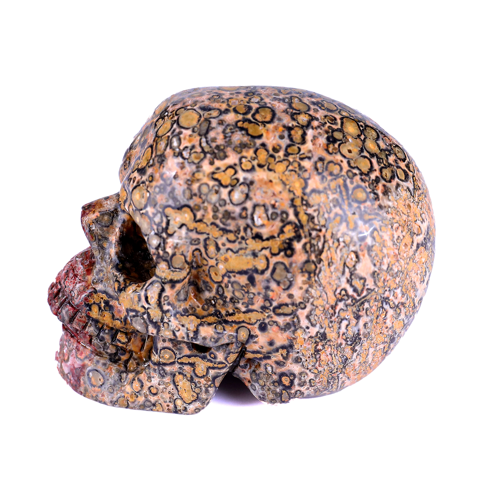 Natural Crystal Red Leopard Skin Jasper Crystal Skull