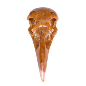 Crystals Yellow Tiger Eye Crow Bird Skull Hand