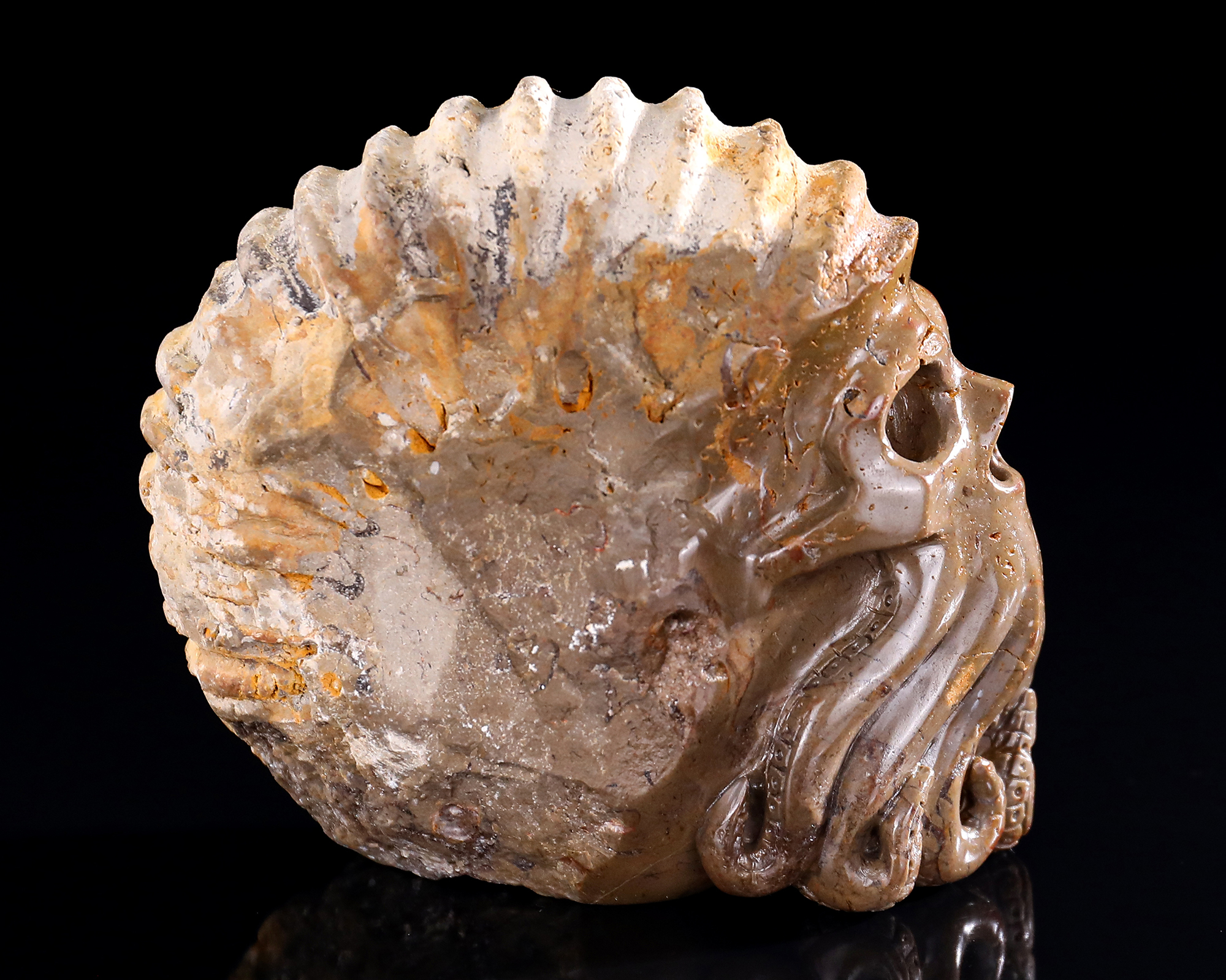 4.8" Ammonite Fossil Octopus Skull, Handcarved Jade Artifact - Unique Sculpture for Collection