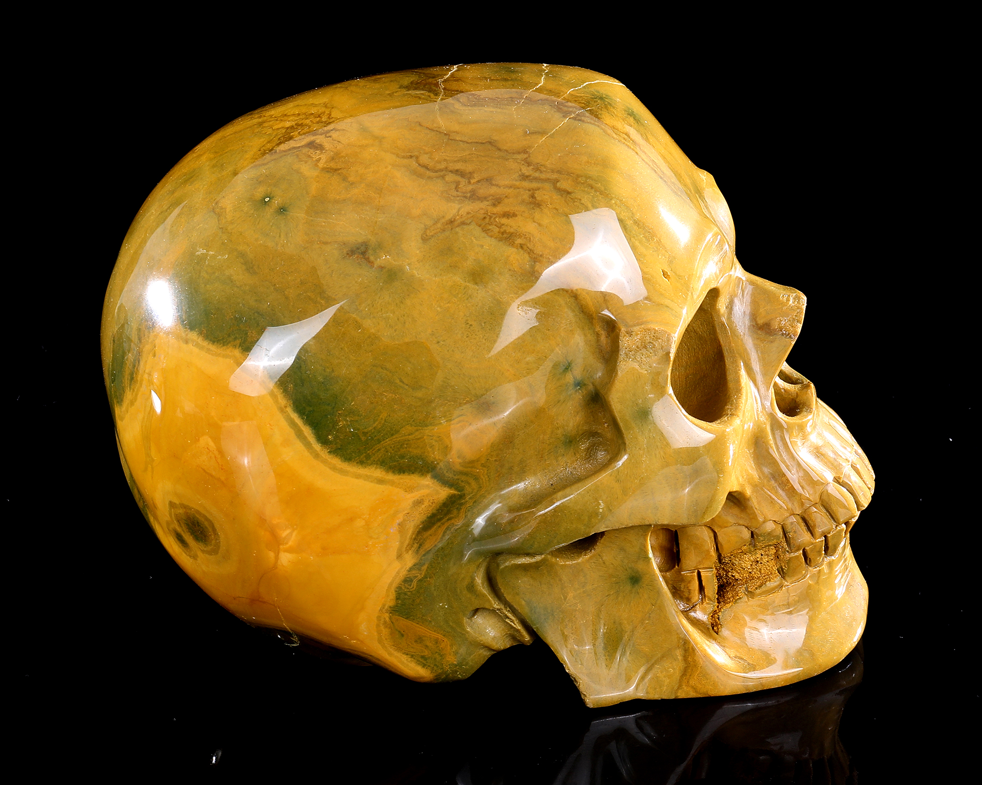 Ocean Jasper Skull - Hand-Carved Natural Crystal Skull, Unique Gemstone Artifact for Collectors, Home Decoration & Energy Healing