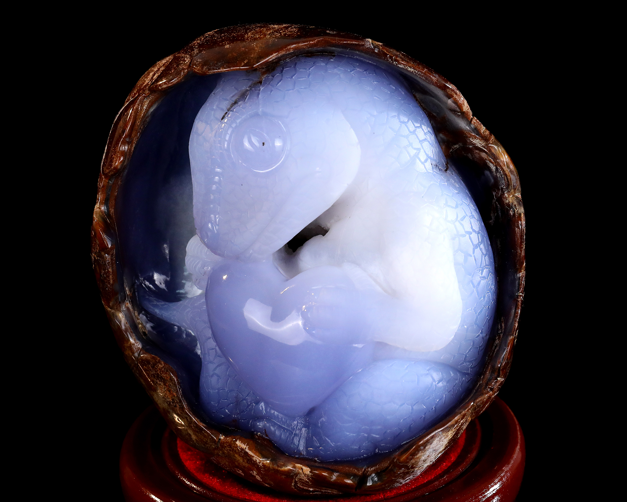 5.8" Natural Polished Blue Chalcedony Dinosaur - Geode Carved Gemstone Decoration