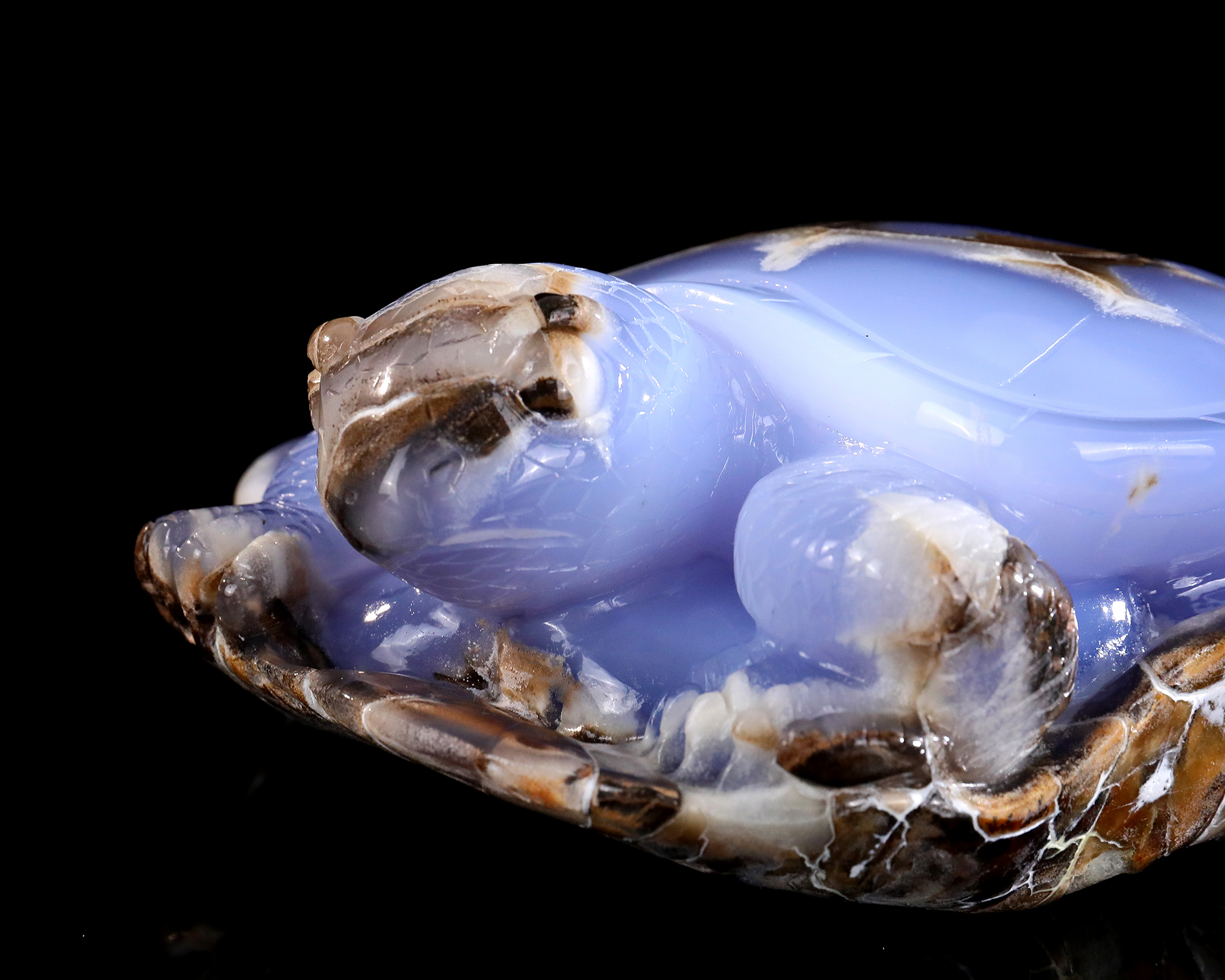 Blue Chalcedony Tortoise Artisan Stone Piece Curated for Display