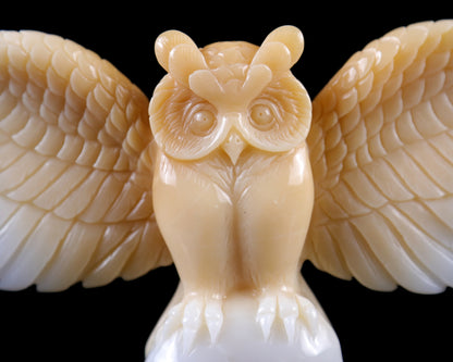 Amazing 9.3" Blue Chalcedony Hand Carved Crystal Owl Sculpture