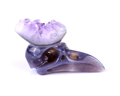 2.5" Amethyst Druse Agate Hand Carved Crystal Raven Skull Sculpture