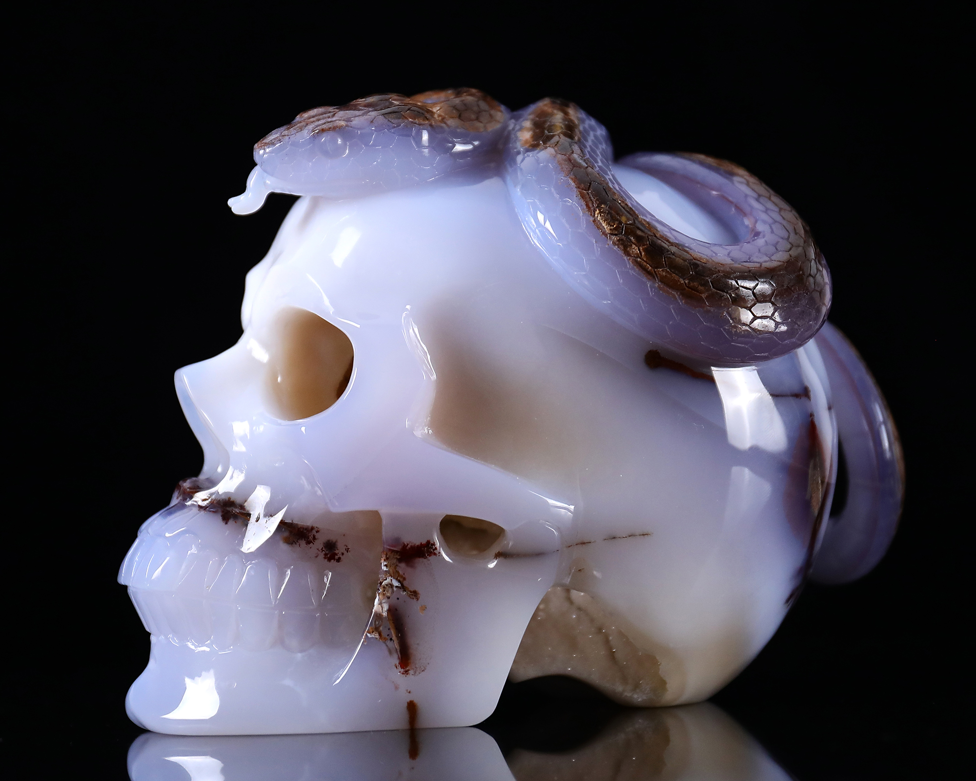 7.8 Inch Hand-Carved Blue Chalcedony Skull with Snake - Rare Natural Geode & Unique Patterns - Exquisite Artisan Decor