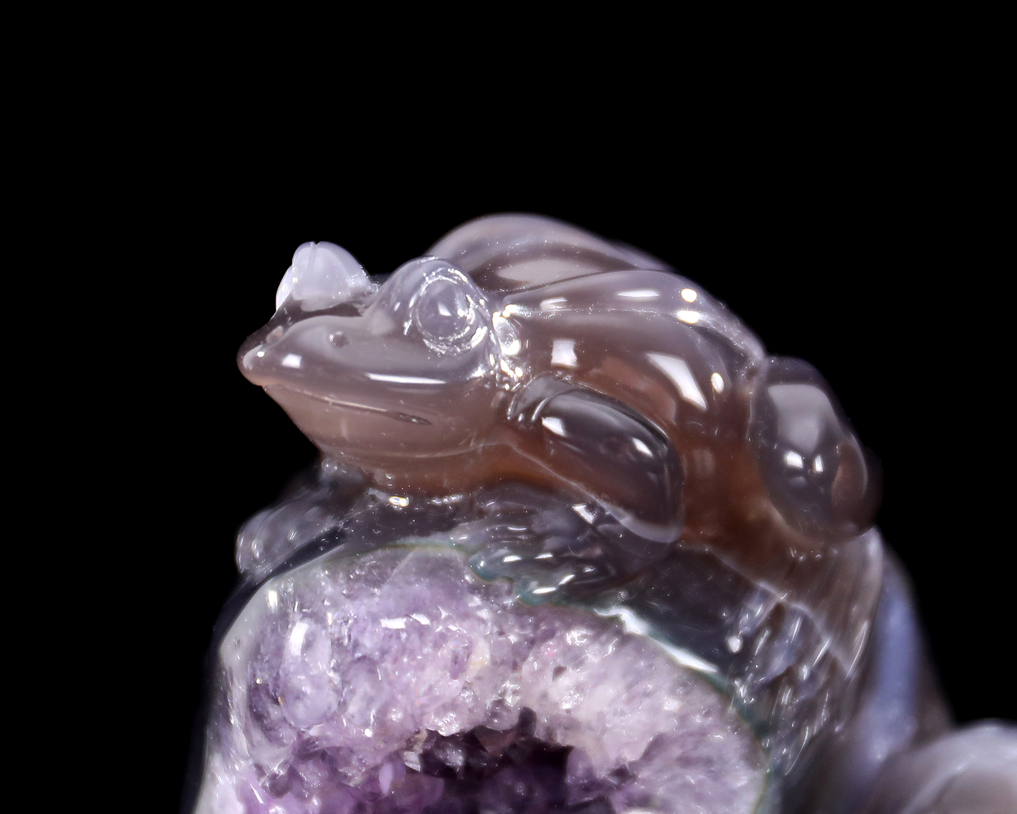 7.5 Inch Handcrafted Amethyst Geode Snake & Frog – Spiritual Crystal Carving with Harmony Symbolism