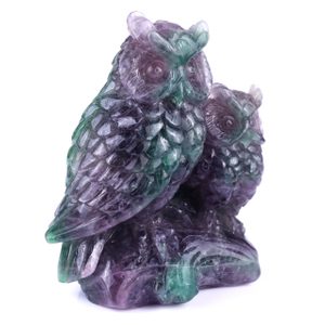  6.1" Fluorite Hand Carved Crystal Owls Sculpture