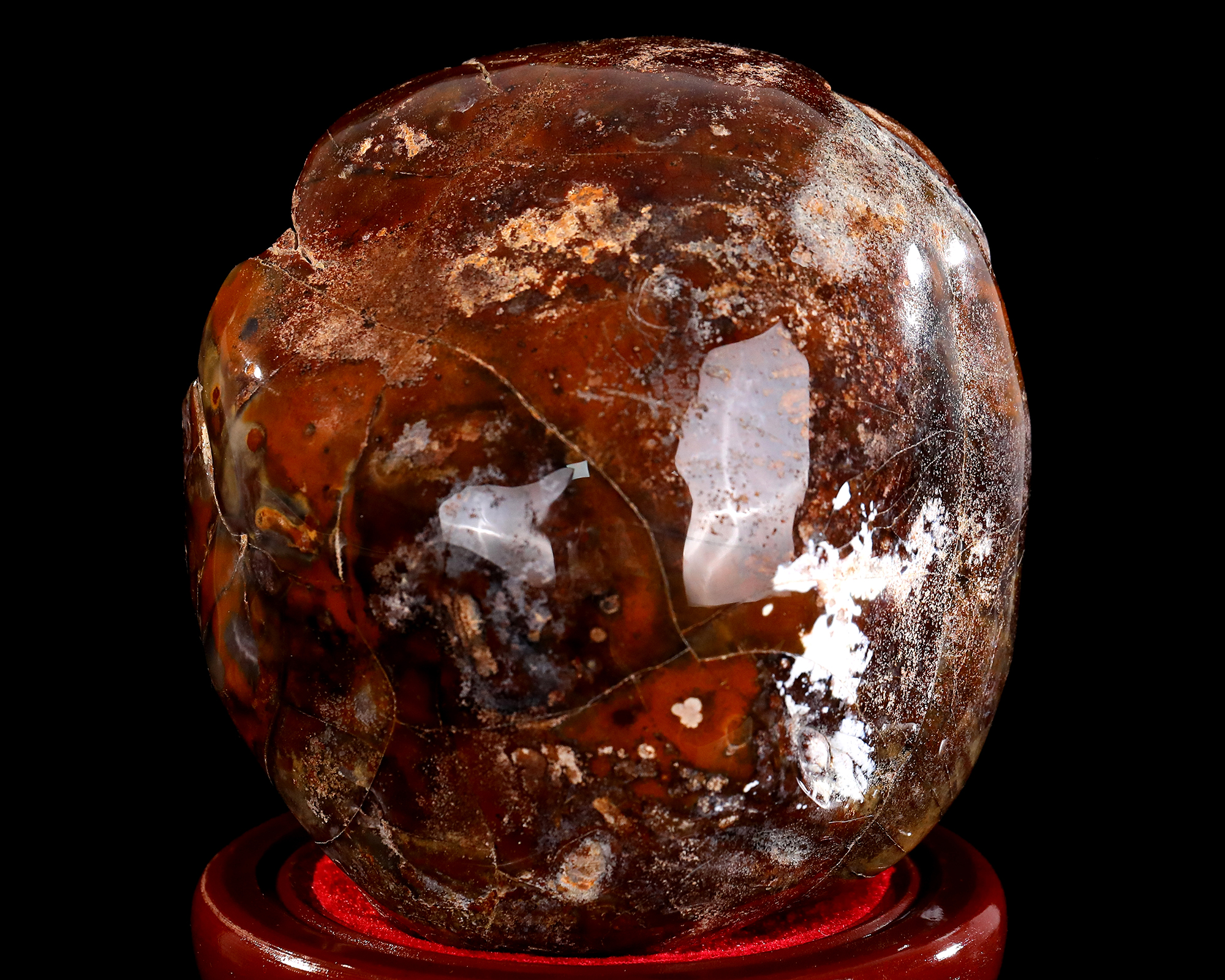 5.8" Natural Polished Blue Chalcedony Dinosaur - Geode Carved Gemstone Decoration