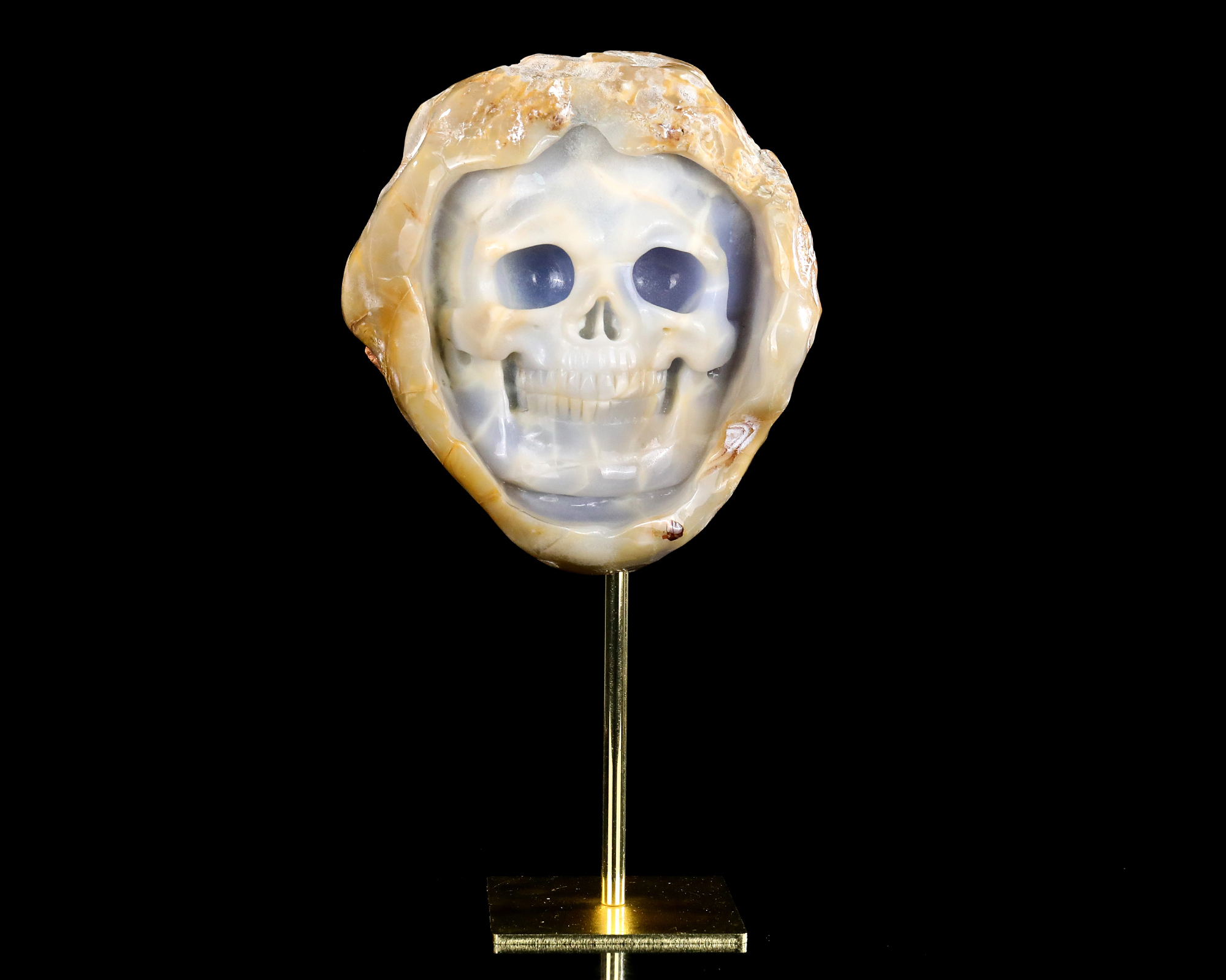 6.5" Natural Hand-Carved Geode Carved Raw Edged Blue Chalcedony Skull - Premium Gemstone Collectible