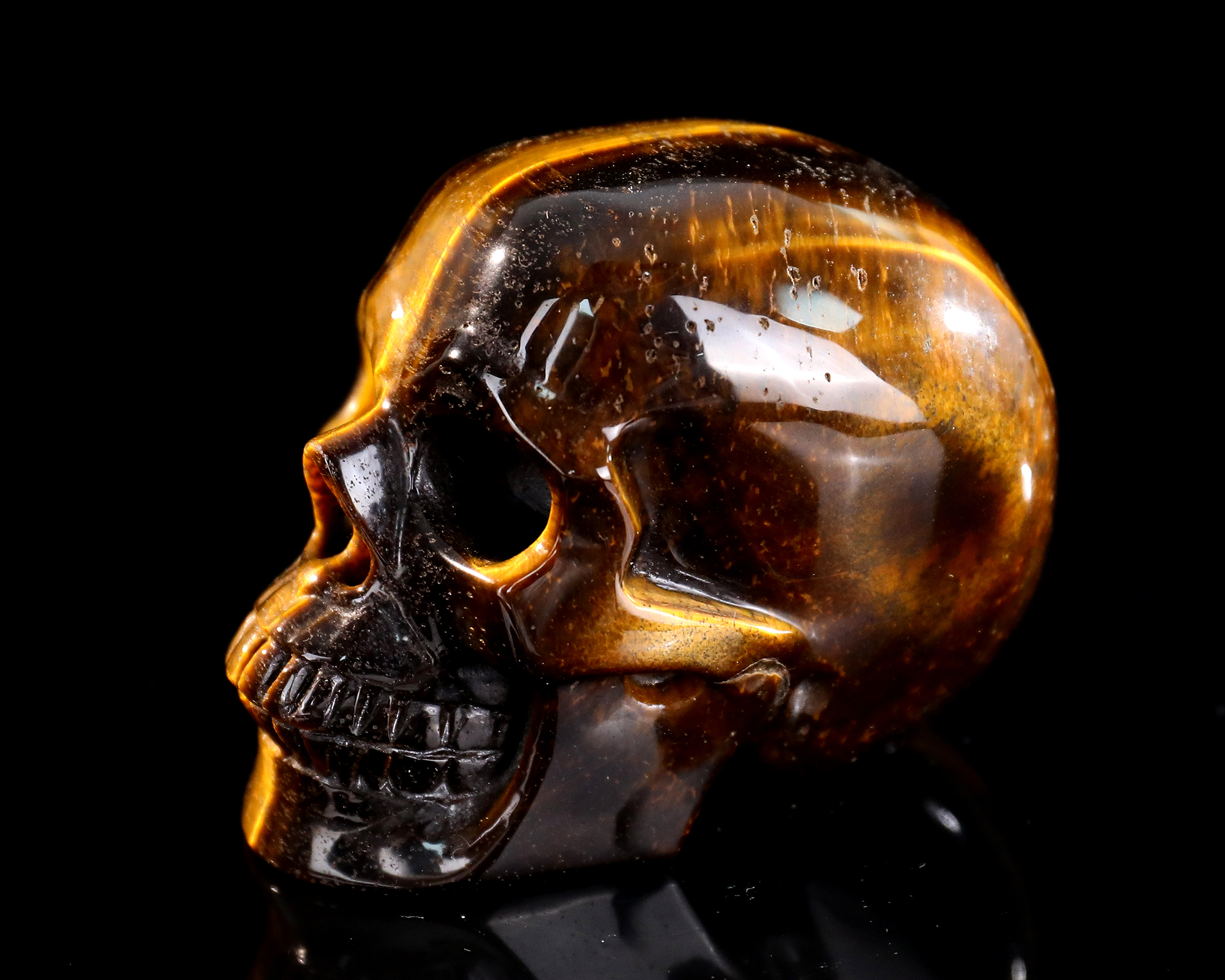 Lustrous Chatoyant Tiger's Eye Skull - Natural Artisan Hand-Carved Crystal Sculpture
