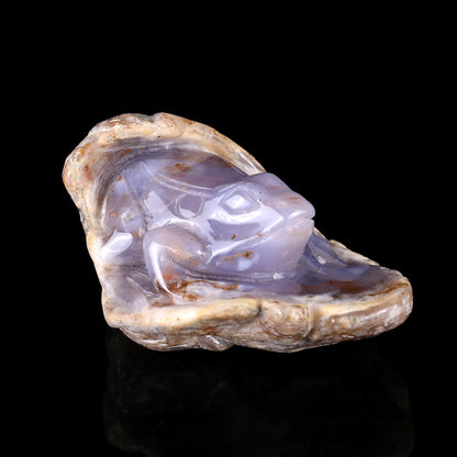 4.4" Blue Chalcedony Hand Carved Crystal Frog Sculpture