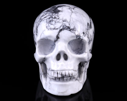 3.0" Howlite Hand Carved Crystal Realistic Skull Sculpture
