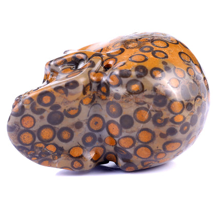 3.0" Leopard Skin Jasper Hand Carved Crystal Realistic Skull Sculpture
