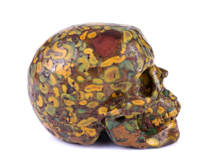 3.0" Roe Stone Hand Carved Crystal Realistic Skull Sculpture
