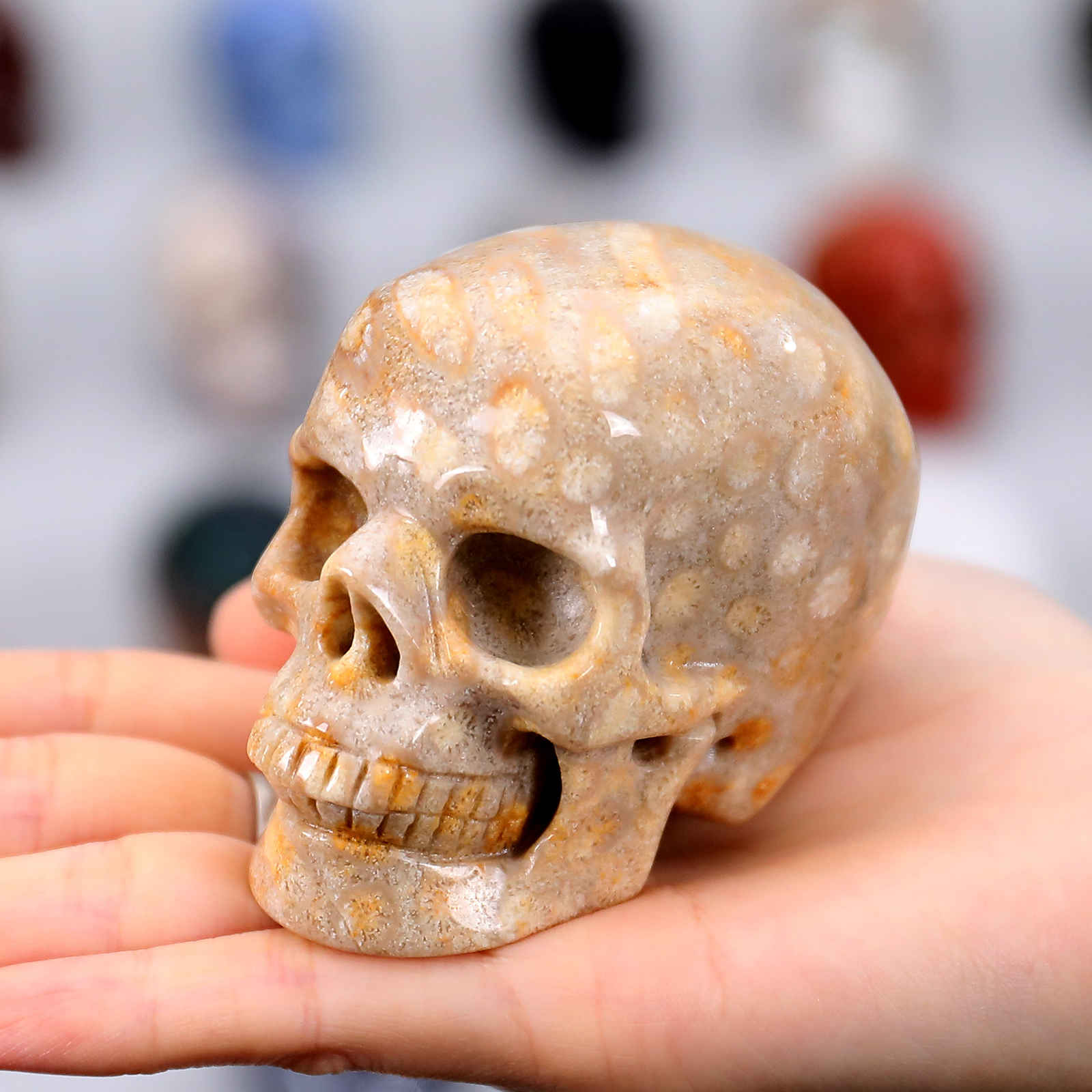 Wholesale Natural 3 Inch Crystal Skull Hand Carved Human Skulls Head Carving Other Crystal Crafts for Home Decor Unique Gift