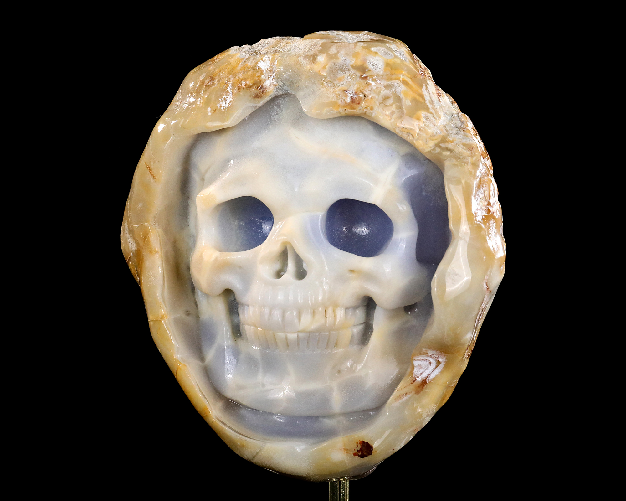 6.5" Natural Hand-Carved Geode Carved Raw Edged Blue Chalcedony Skull - Premium Gemstone Collectible